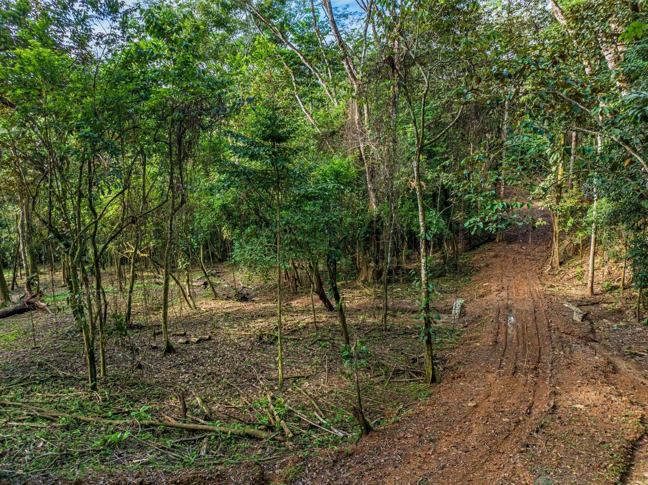 Private Ocean View Development Lot, Dominical, Puntarenas