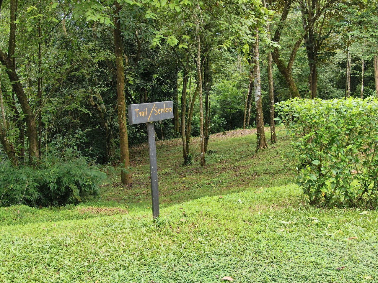  Affordable & Charming 1 bedroom Villa with Pool in gated community, immersed in the rainforest close to Quepos  