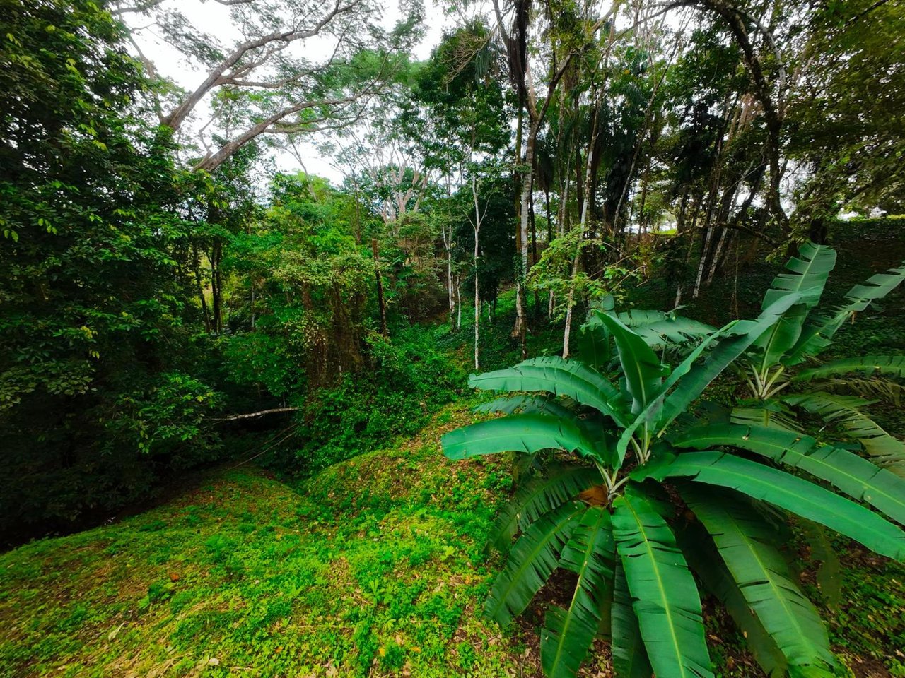Private Ocean View Development Lot, Ojochal, Puntarenas
