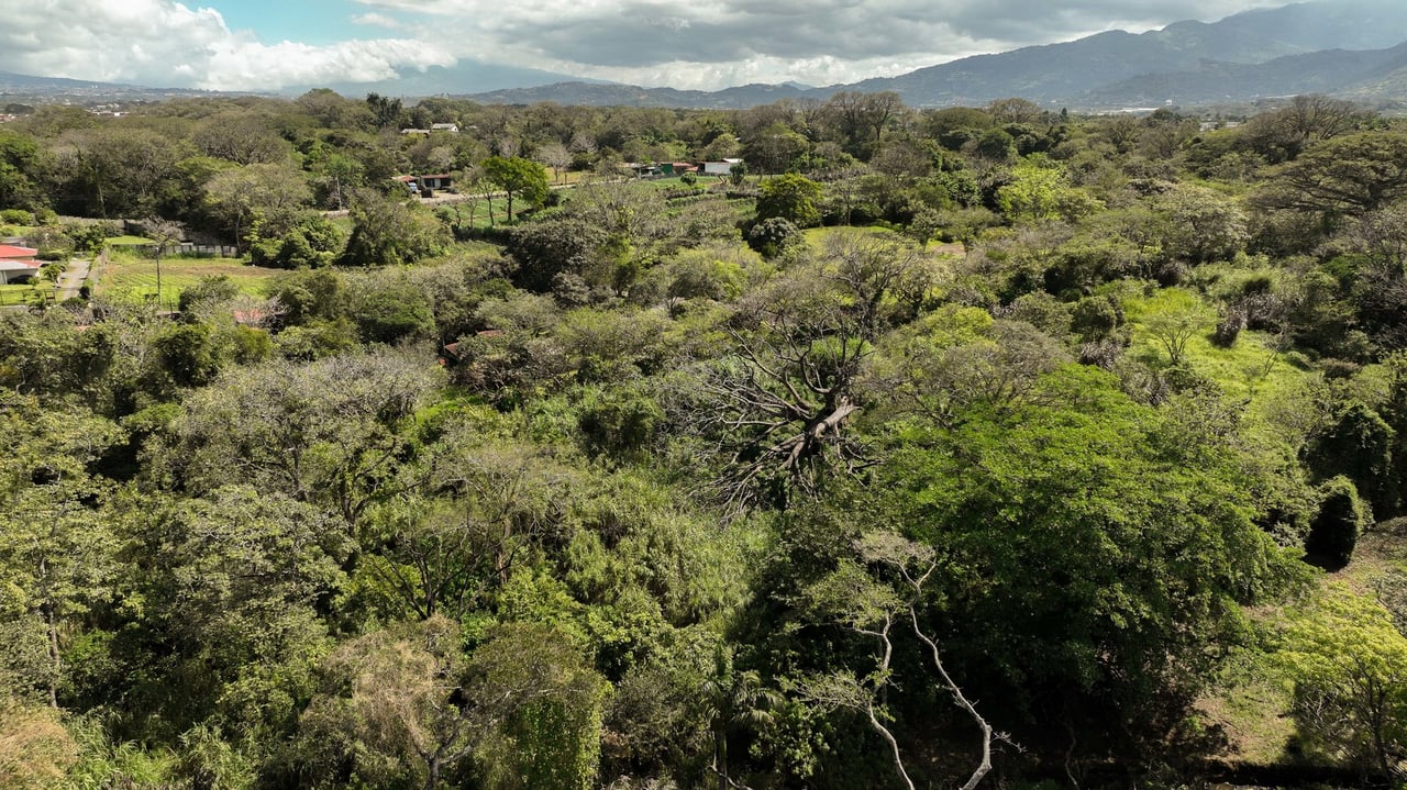 Prime Development Land for Sale La Guacima, Guacima, Alajuela