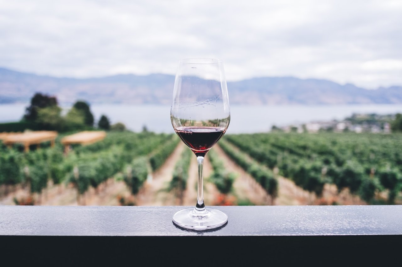 After Harvest Comes Cabernet Season