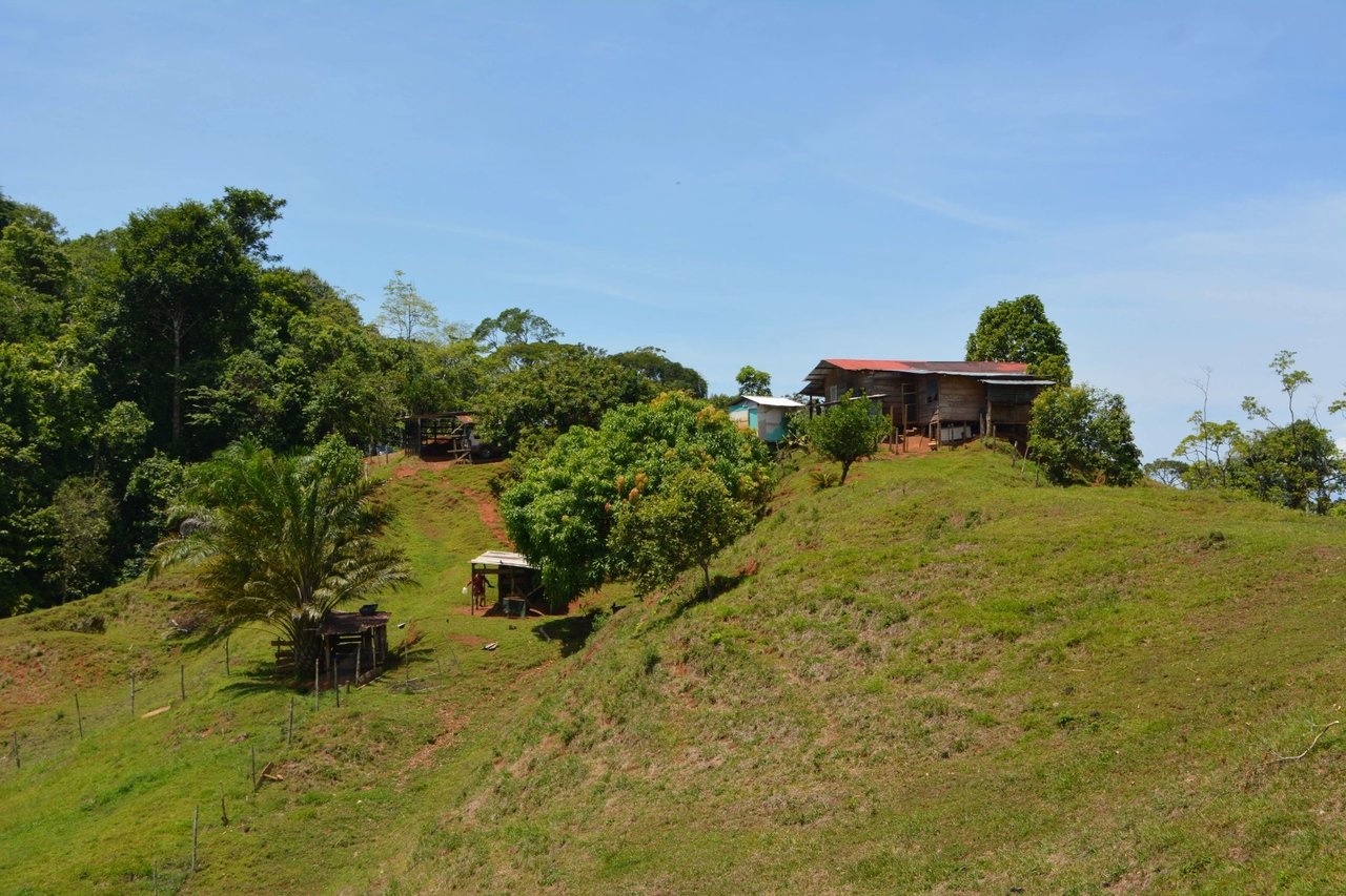 Expansive Ocean View Development Land, Osa, Puntarenas