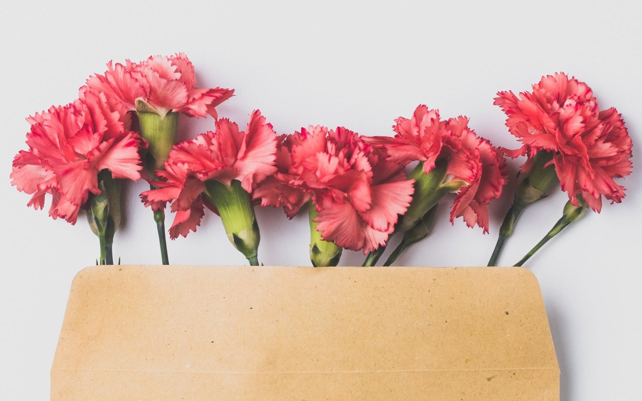 February 2021 Newsletter
