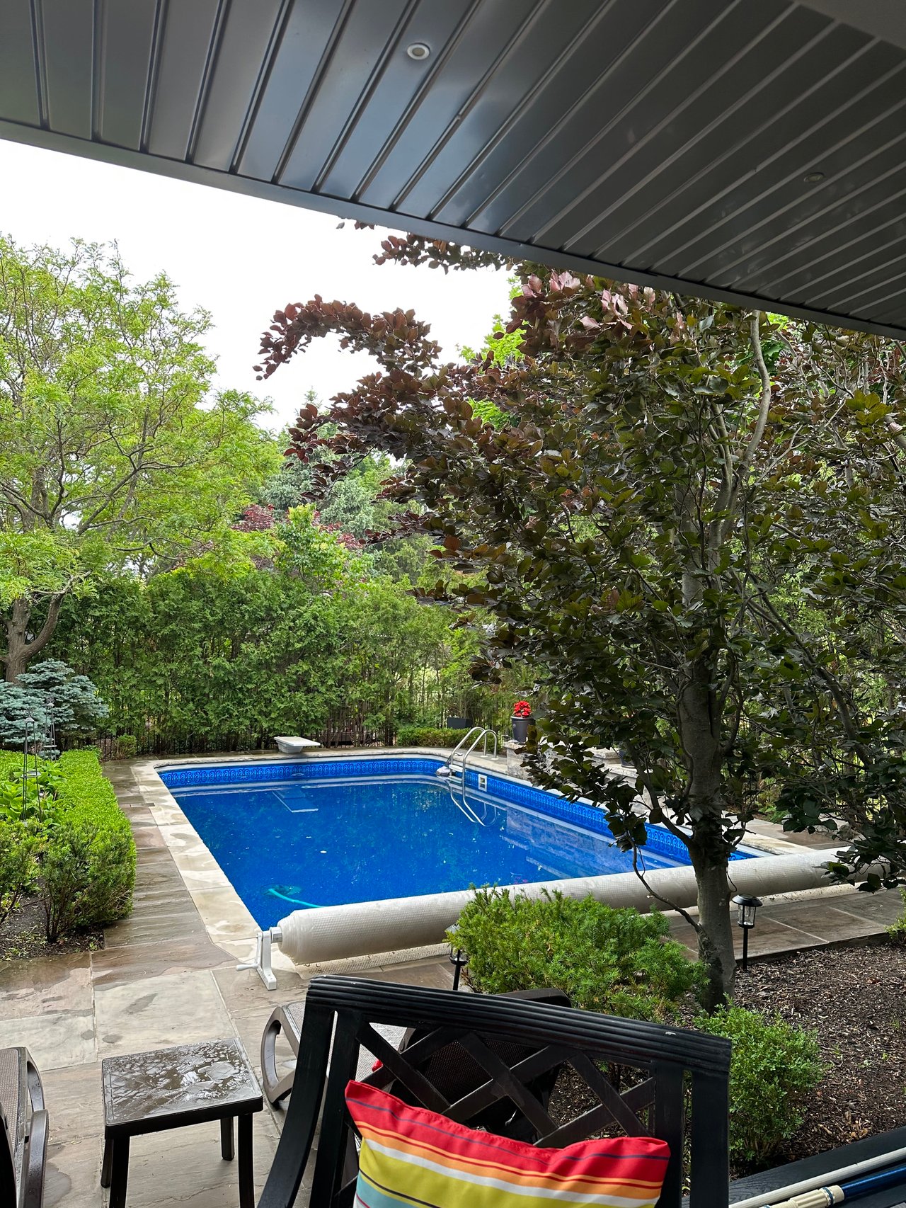 Fairway Hills Beauty 