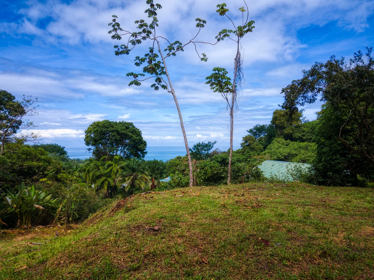 Legal Water Ocean View Lot, Dominical, Puntarenas