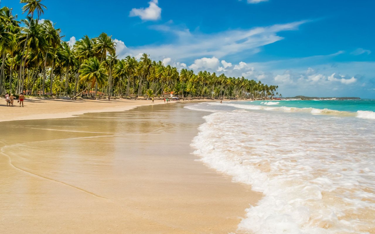 Why You Should Visit Costa Rica During the Dry Season?