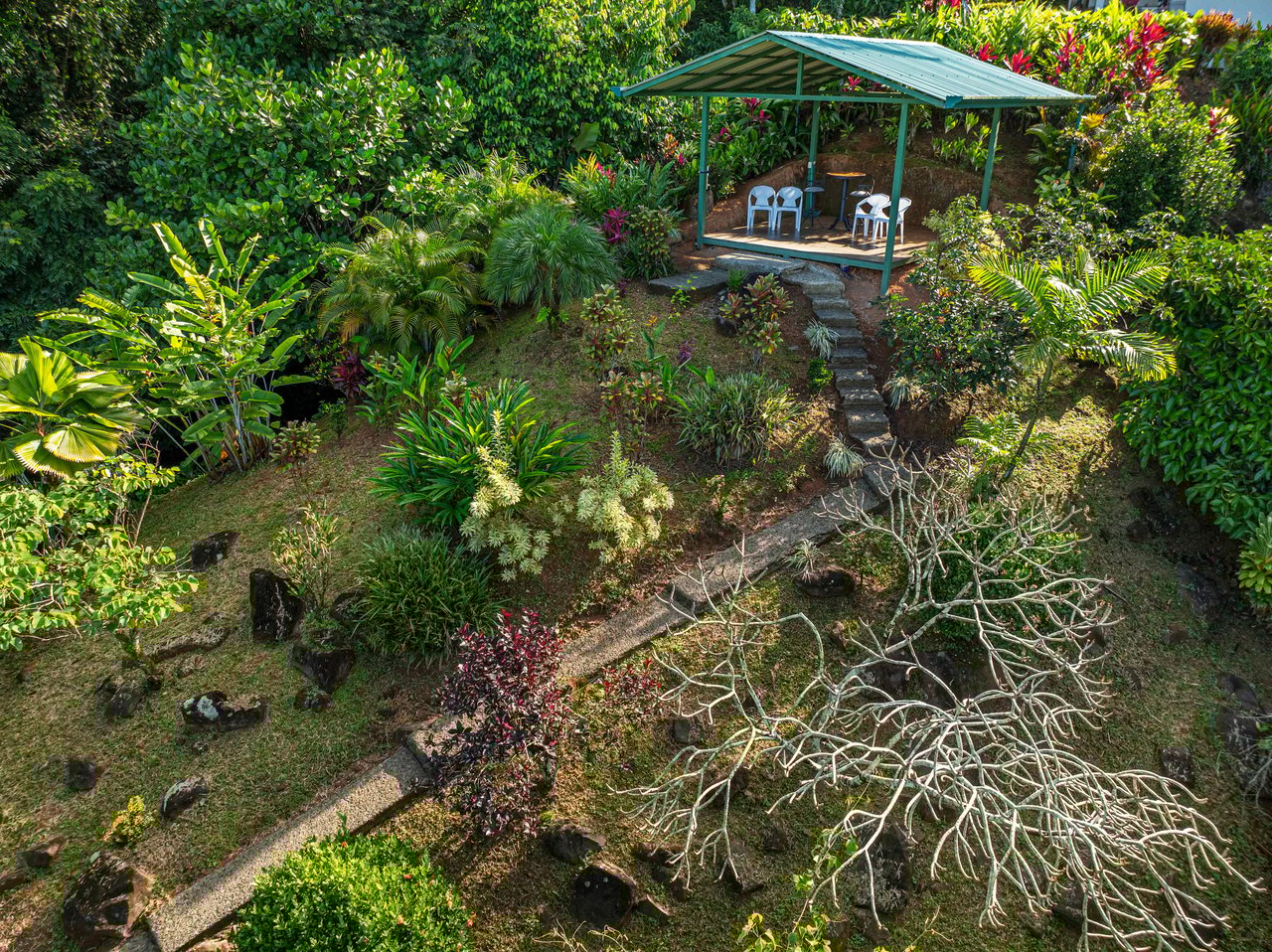  Ocean View Home on 5 acres with Stream