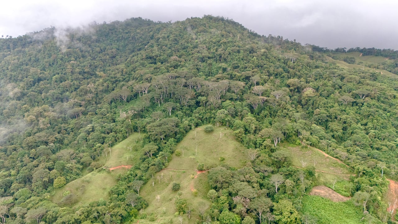 Over 123 Acres Farm in San Josecito De Morete, in Uvita Mountains