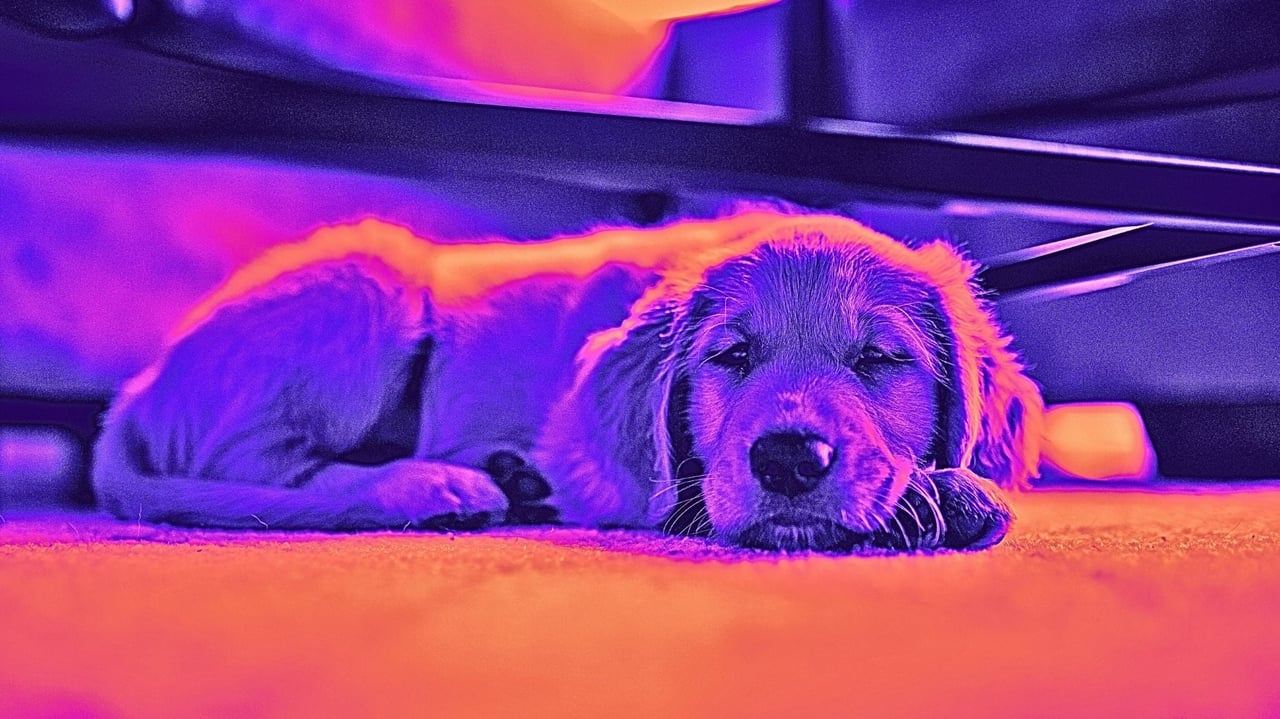 Reports of agent doom have been greatly exaggerated: The Download