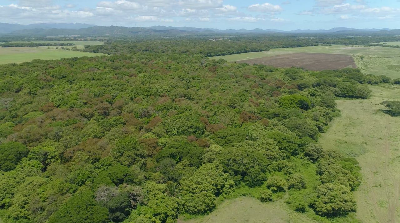 Strategic Cattle Ranch Development, Tamarindo, Guanacaste