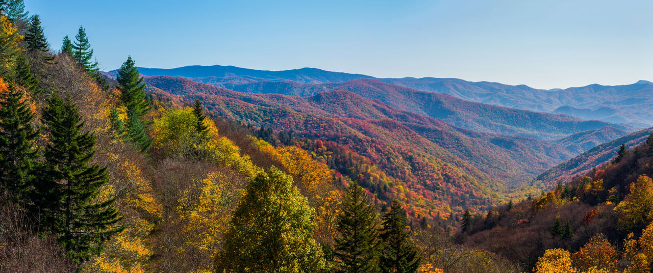 Moshannon Valley