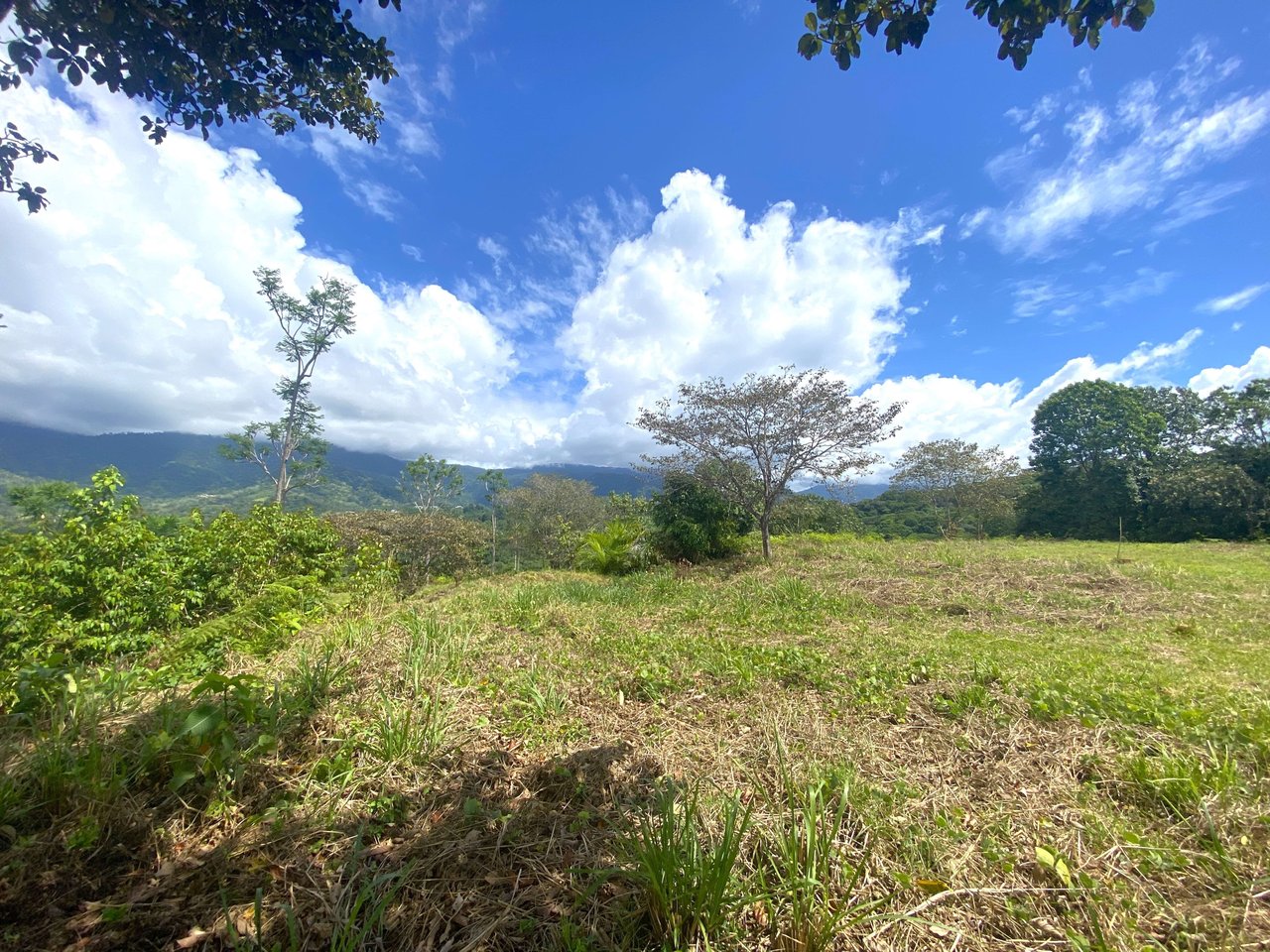 3.98 Acres, Ocean View Property In Finca Maranon With Legal Water! Ojochal 