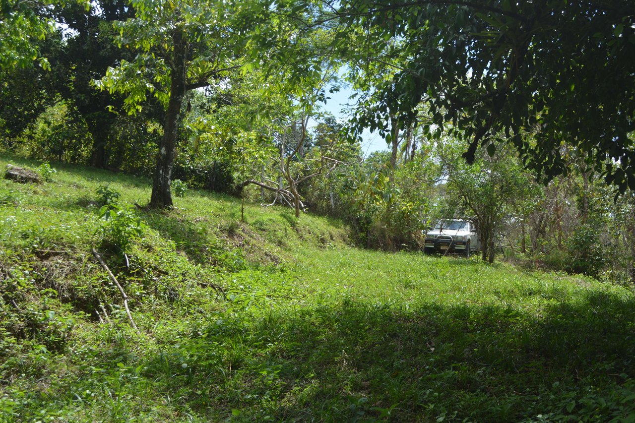 42 Acres With Waterfalls, Ocean Views & Multiple Building Sites Sliencio Ariba