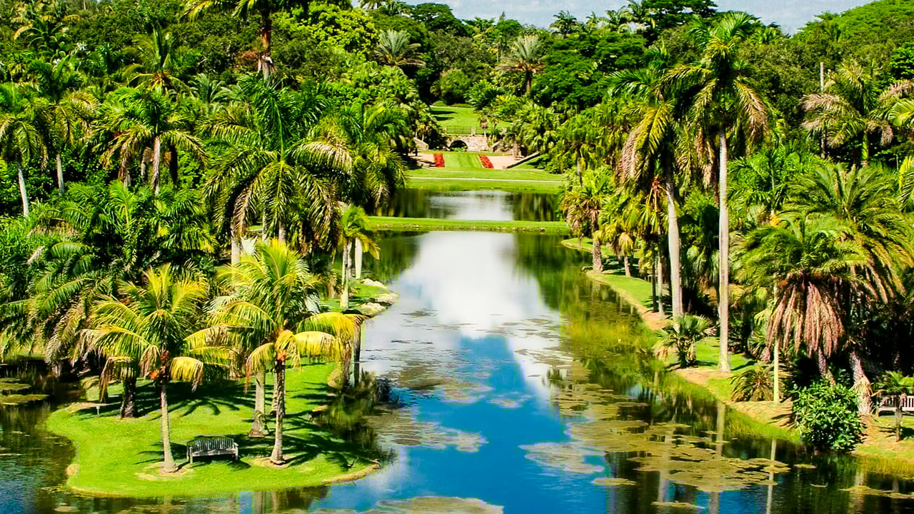 6 Day Trips in the Miami Areas