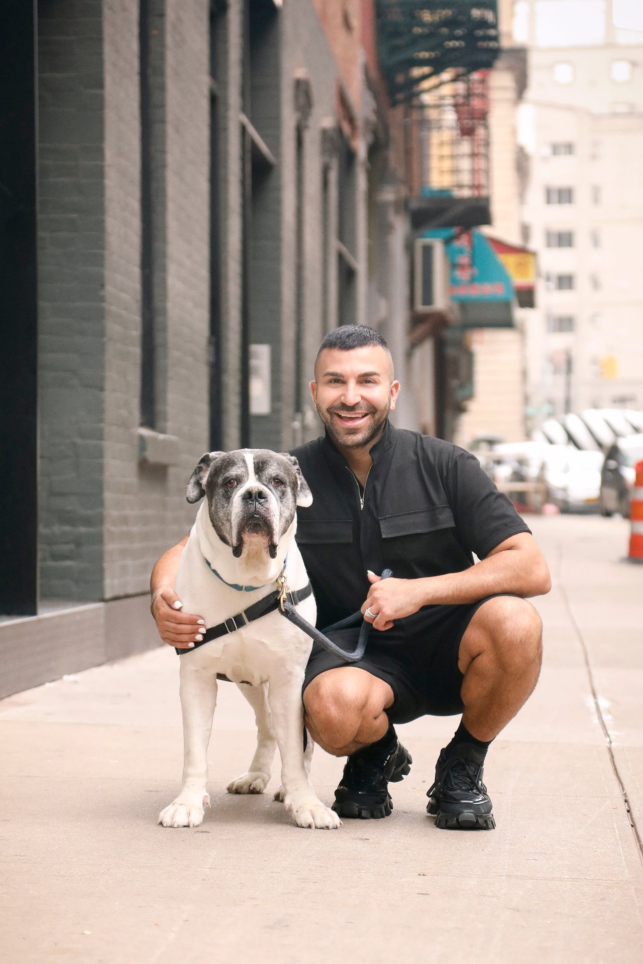 Edition 9 - Agent P's Adoptable Dogs