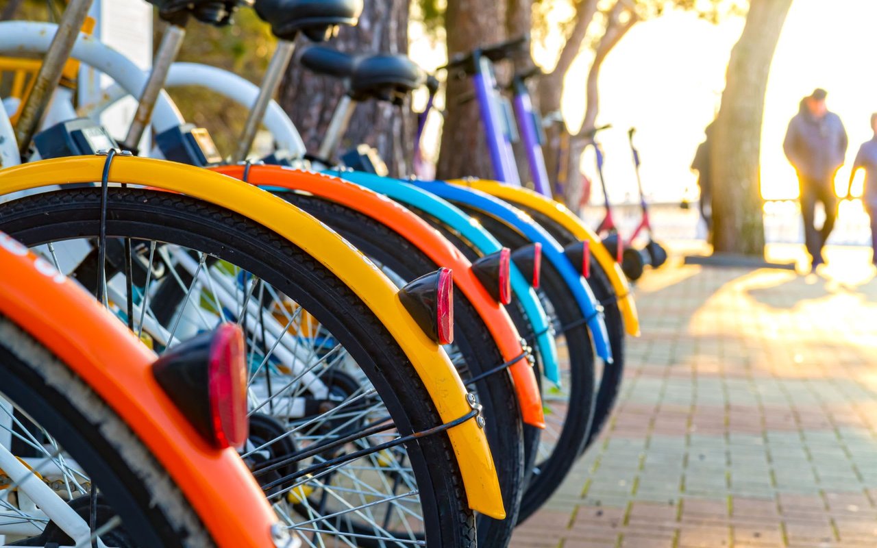 Royal Oak & Ferndale