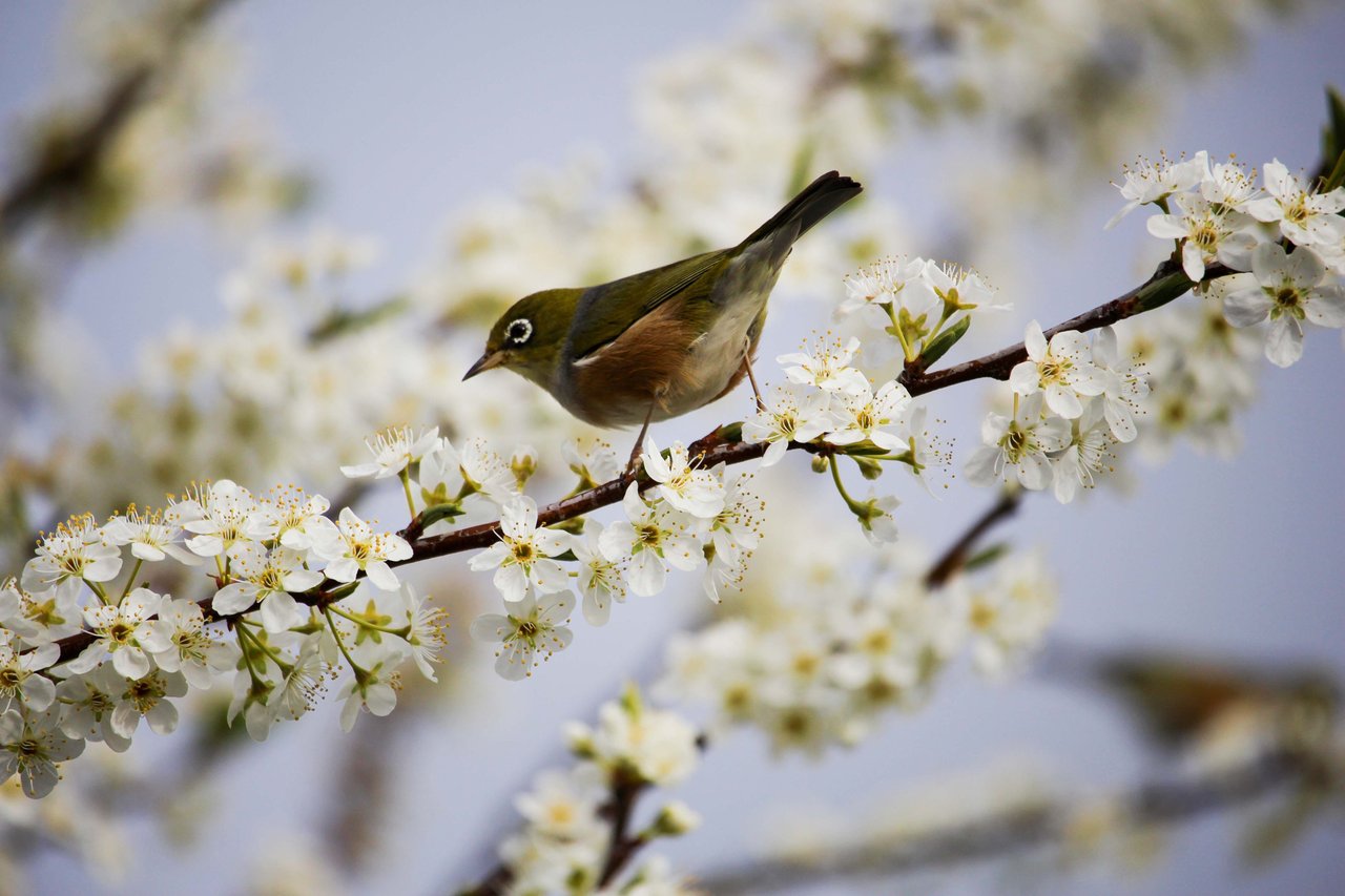 7 Spring Pop-Bys to Blossom Your Client Relationships