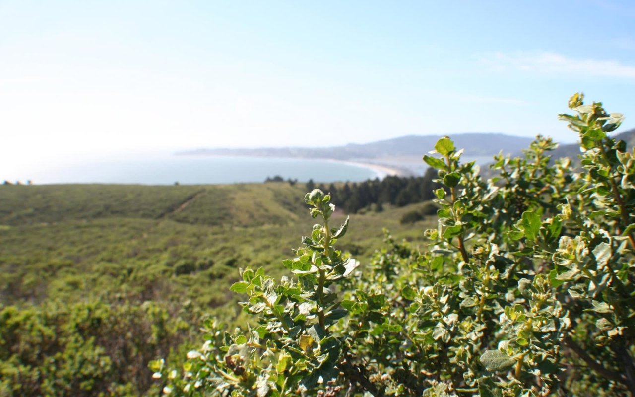 Kentfield