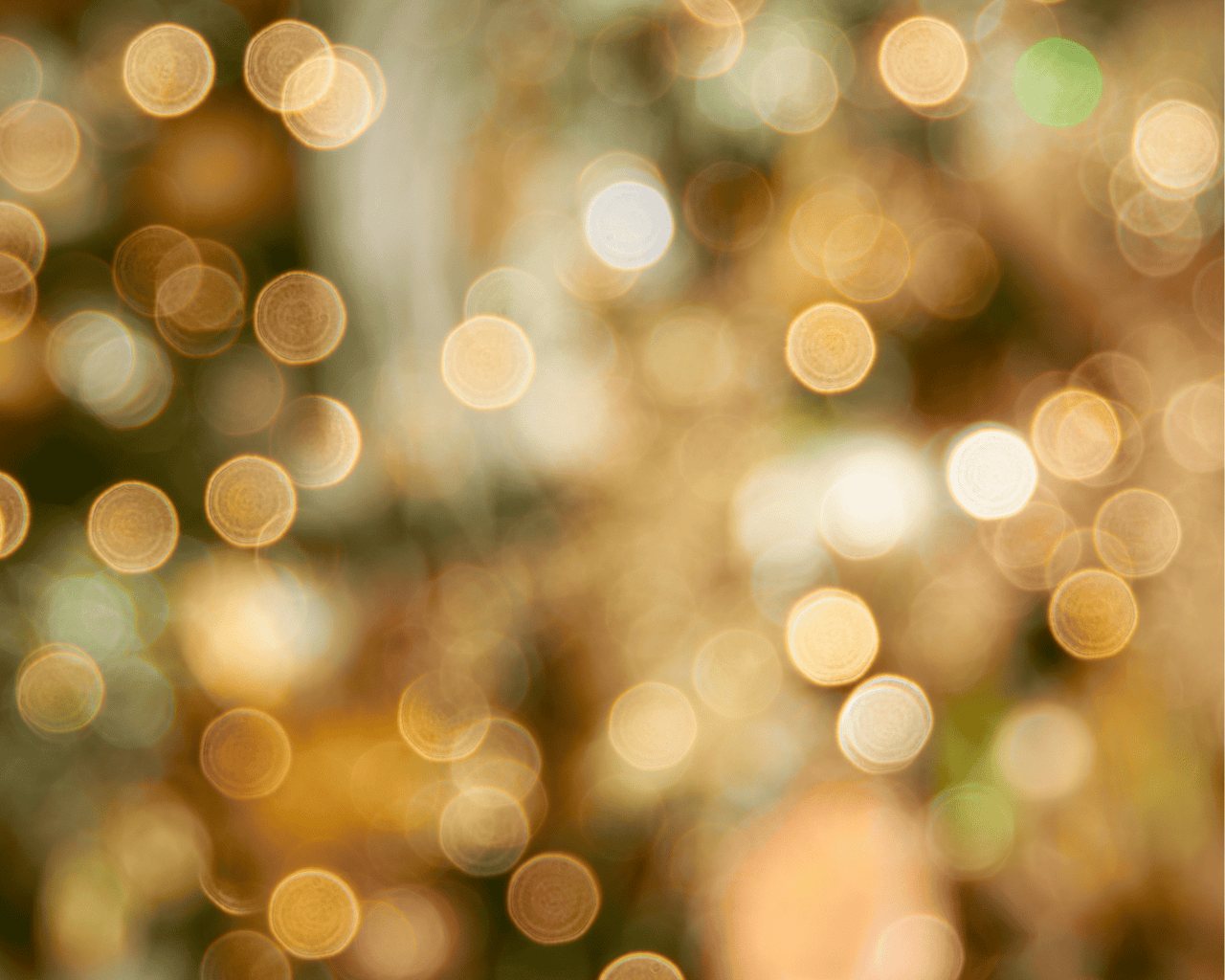 2024 Holiday Event Guide