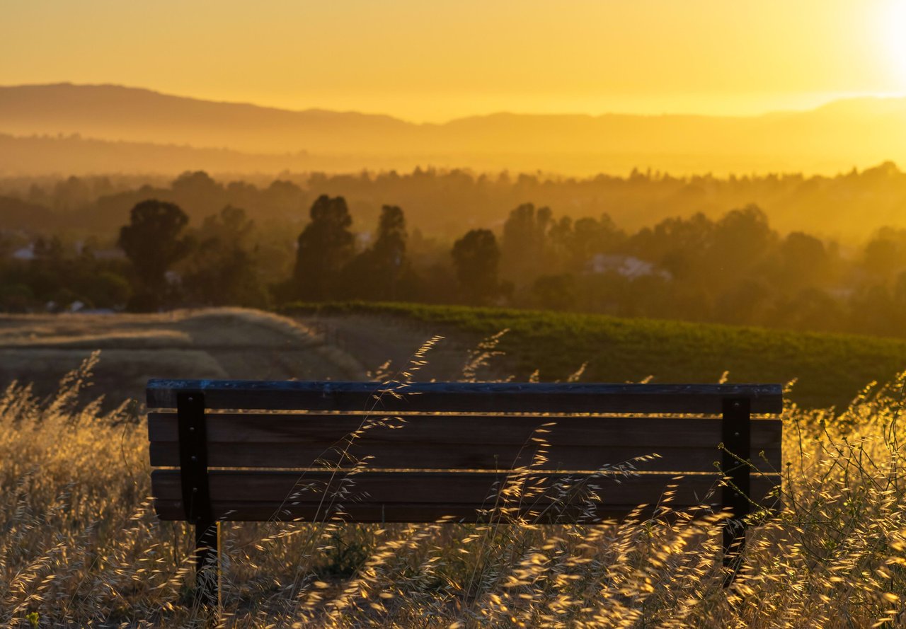 Discover the Beauty of the East Bay