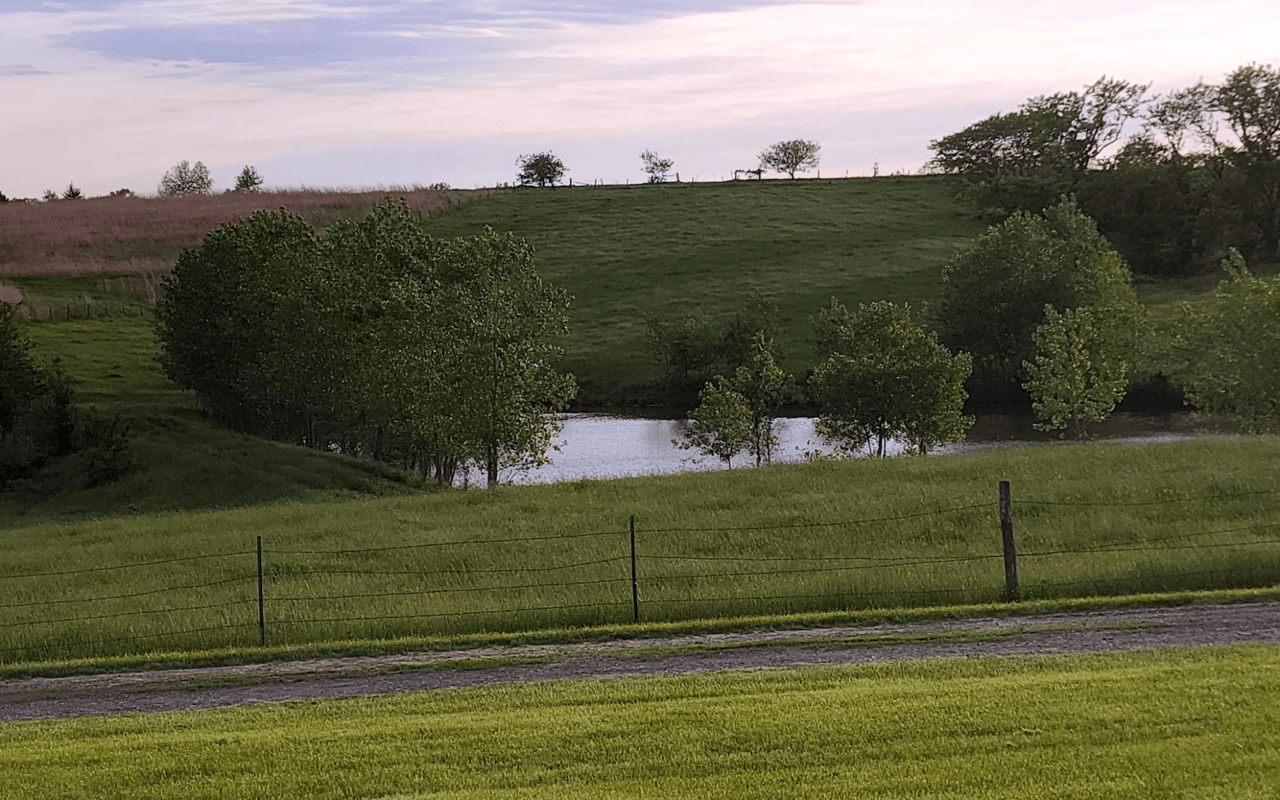 Exploring The Rich Heritage and History of Town and Country, MO