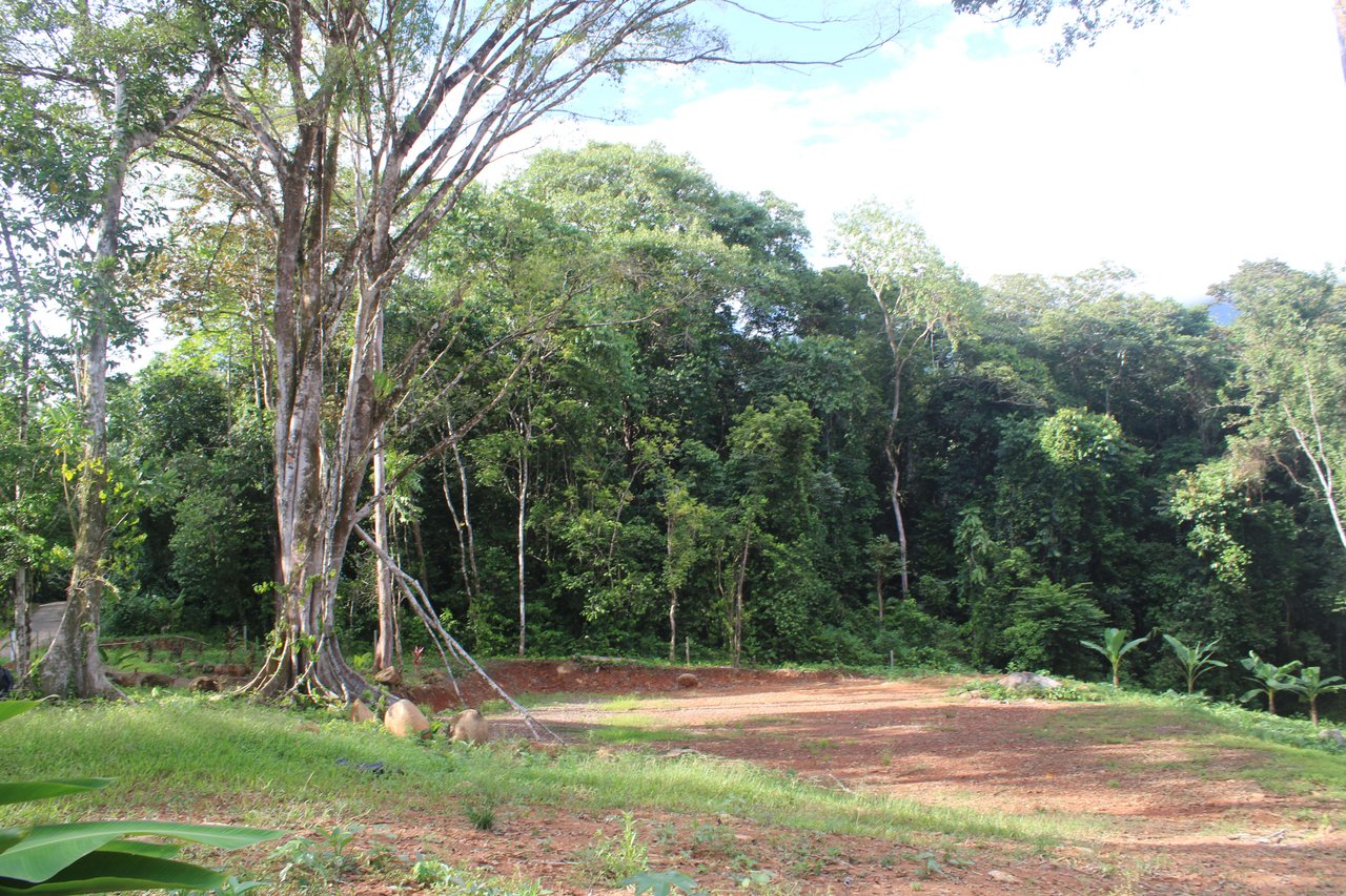 River Frontage Lot close to Uvita