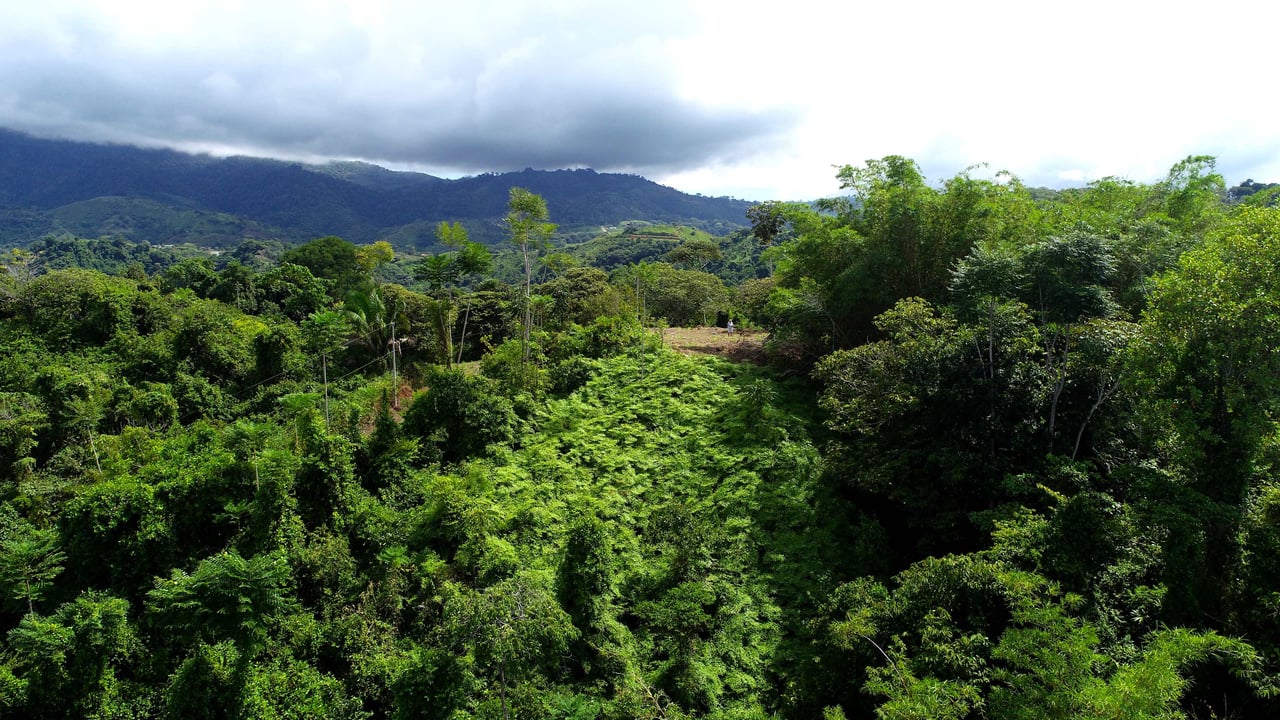 2 Acres Property with 360 Panoramic Views!