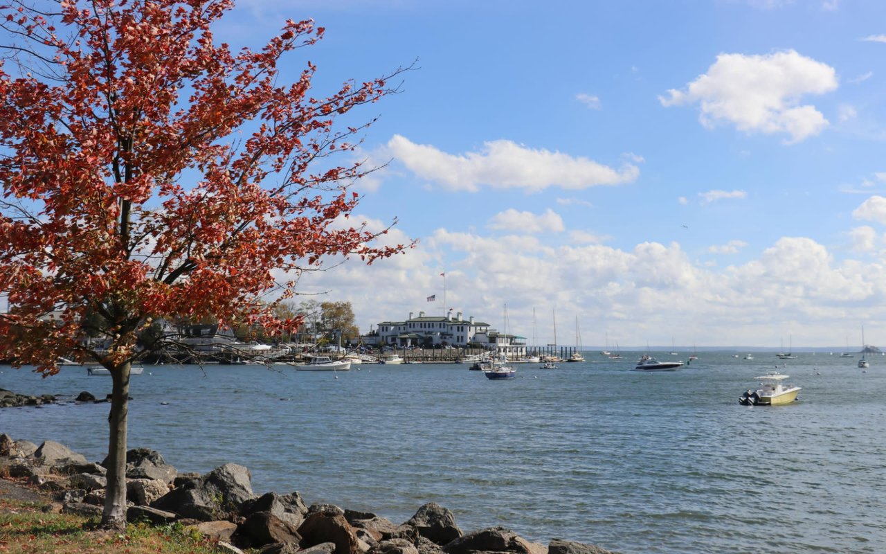 Greenwich harbor with boats of various sizes, a few buildings, and docks.