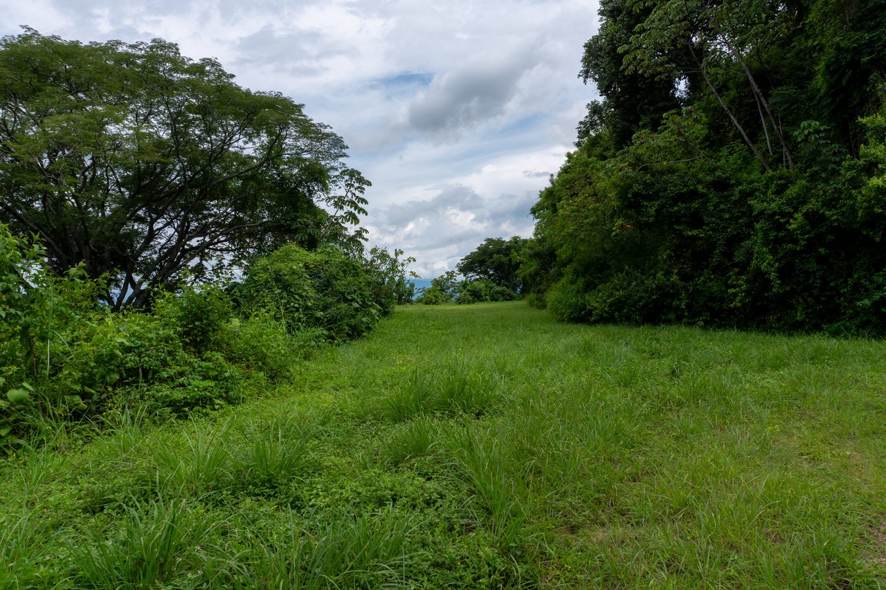 Subdivided Mountain View Land, Atenas, Alajuela