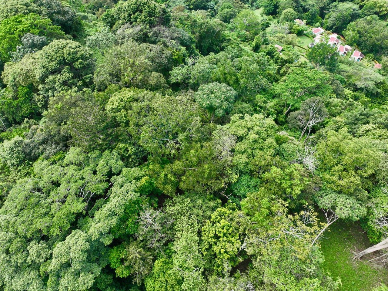 Private Waterfall Ocean View Land, Ojochal, Puntarenas