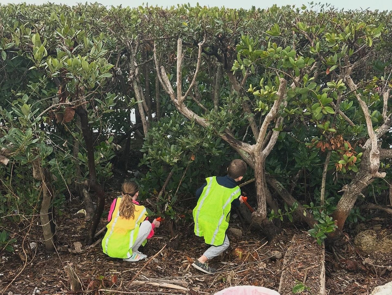 Riverside Cleanup in Palmetto