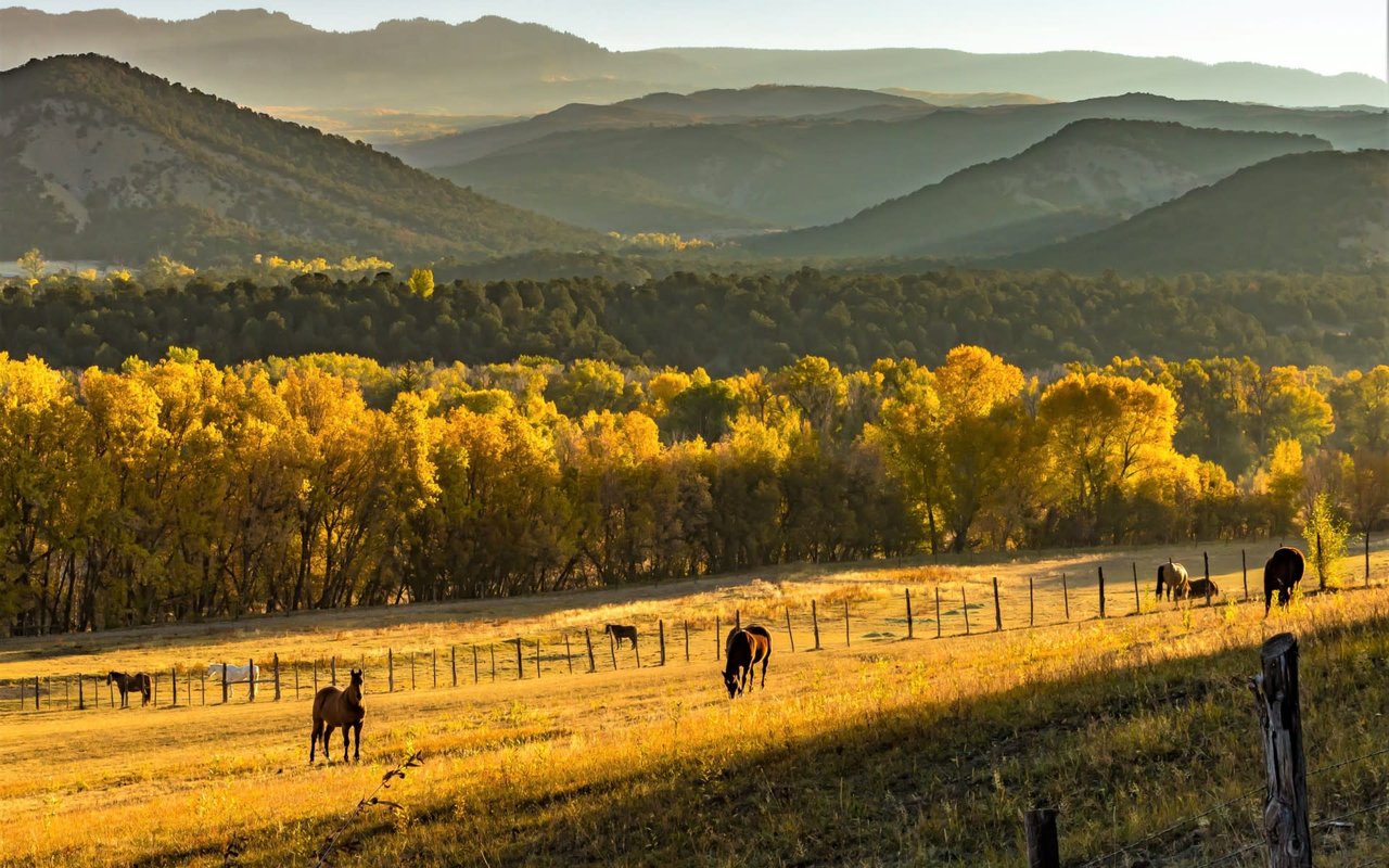 A Complete Checklist for Moving with Horses