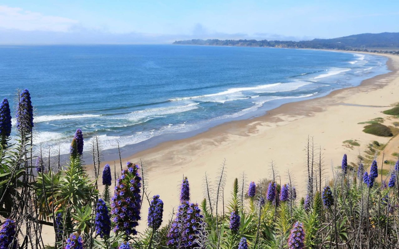 Coastal Marin