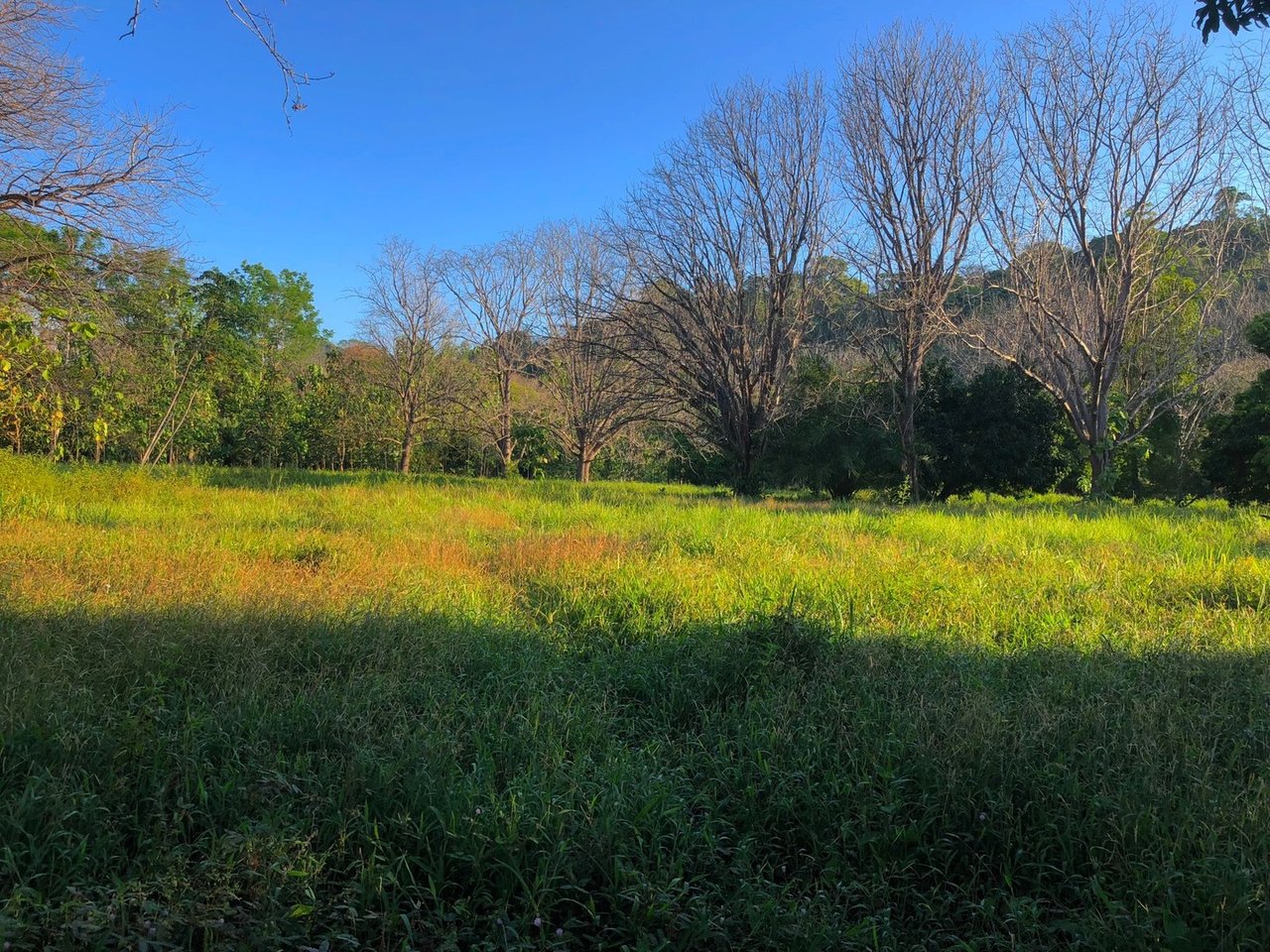 Coastal Development Land, Dominical, Puntarenas