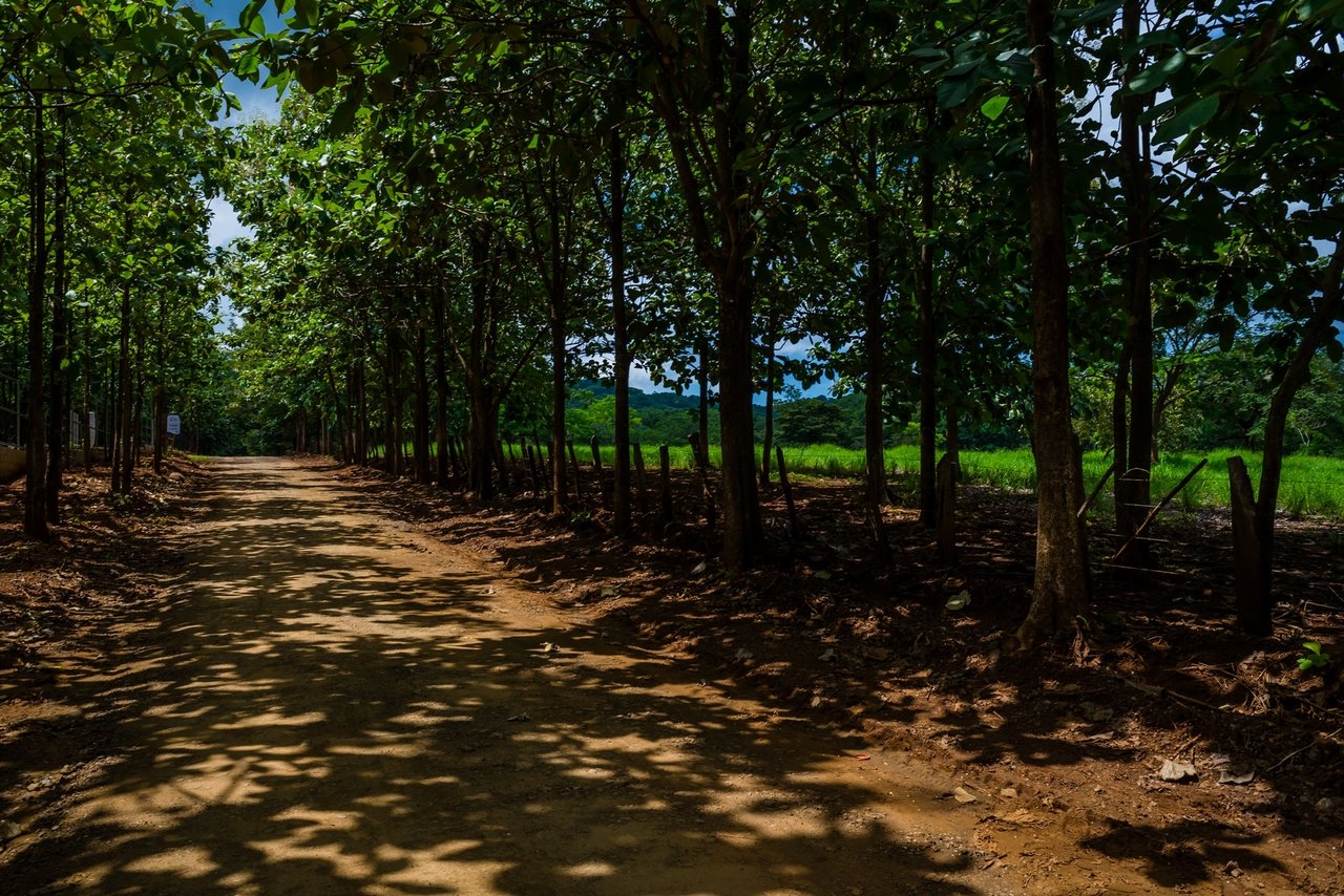 Ocean View Development Acreage, Tamarindo, Guanacaste