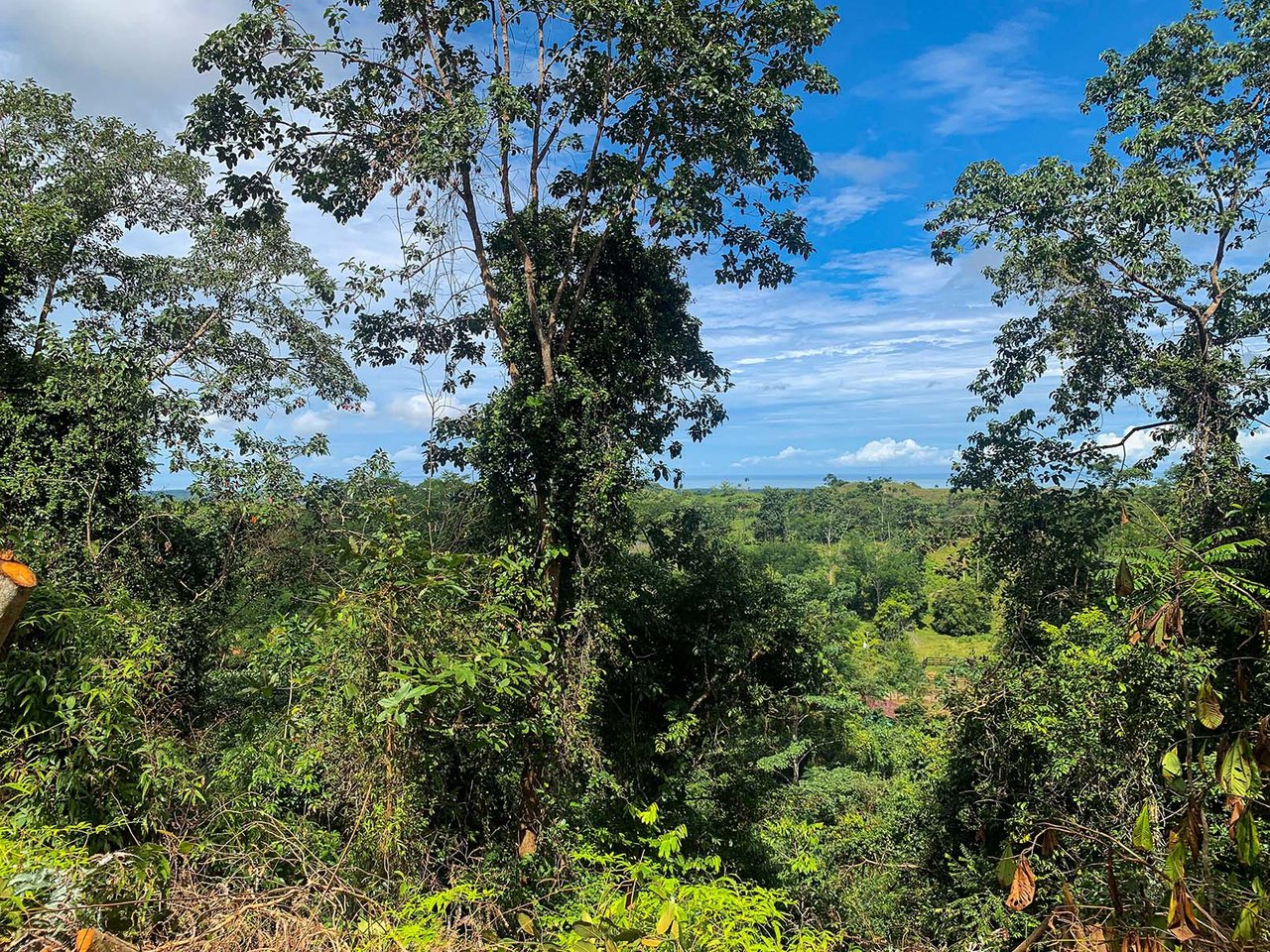Farm In Chontales, 47 Acres With Ocean View And River