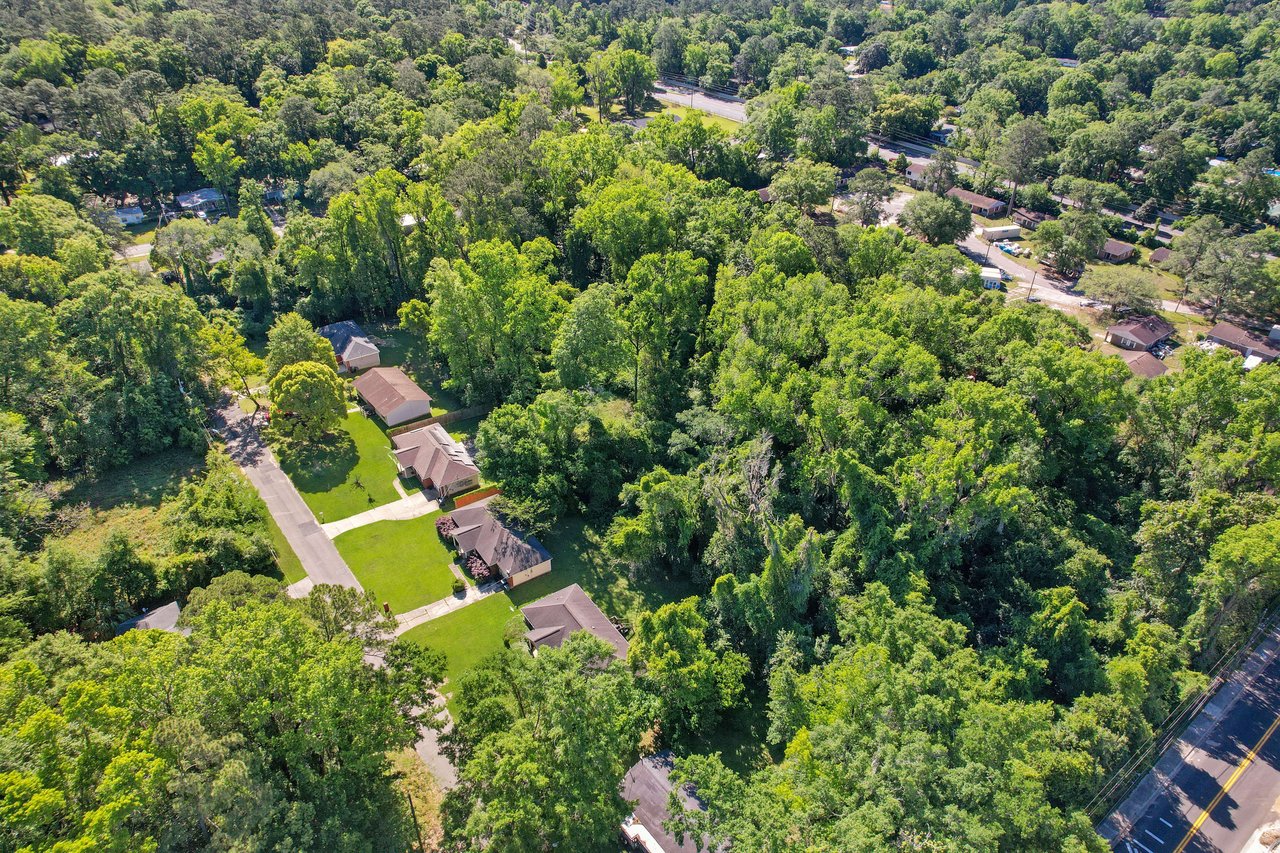 An aerial view of a residential neighborhood in South City surrounded by dense tree cover.