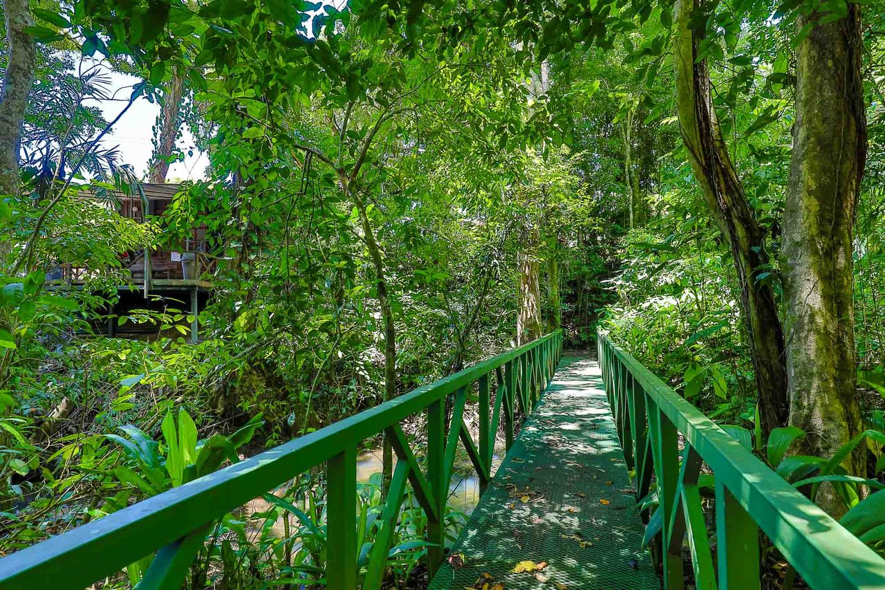 Duplex in Manuel Antonio Area