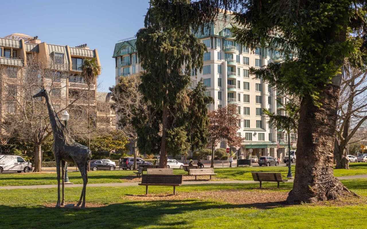 San Mateo