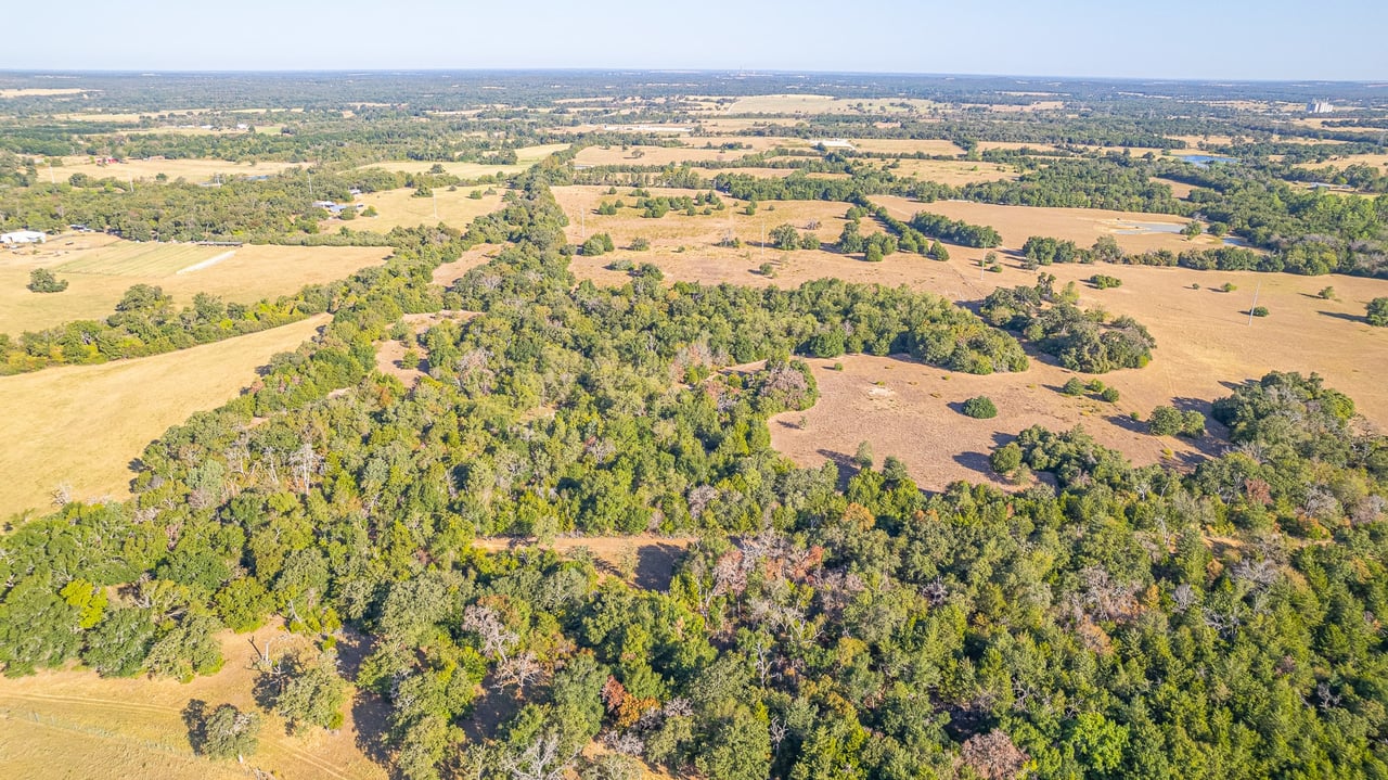 59.59 Acres in Brazos Valley region