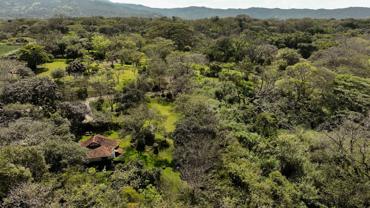 Prime Development Land for Sale La Guacima, Guacima, Alajuela