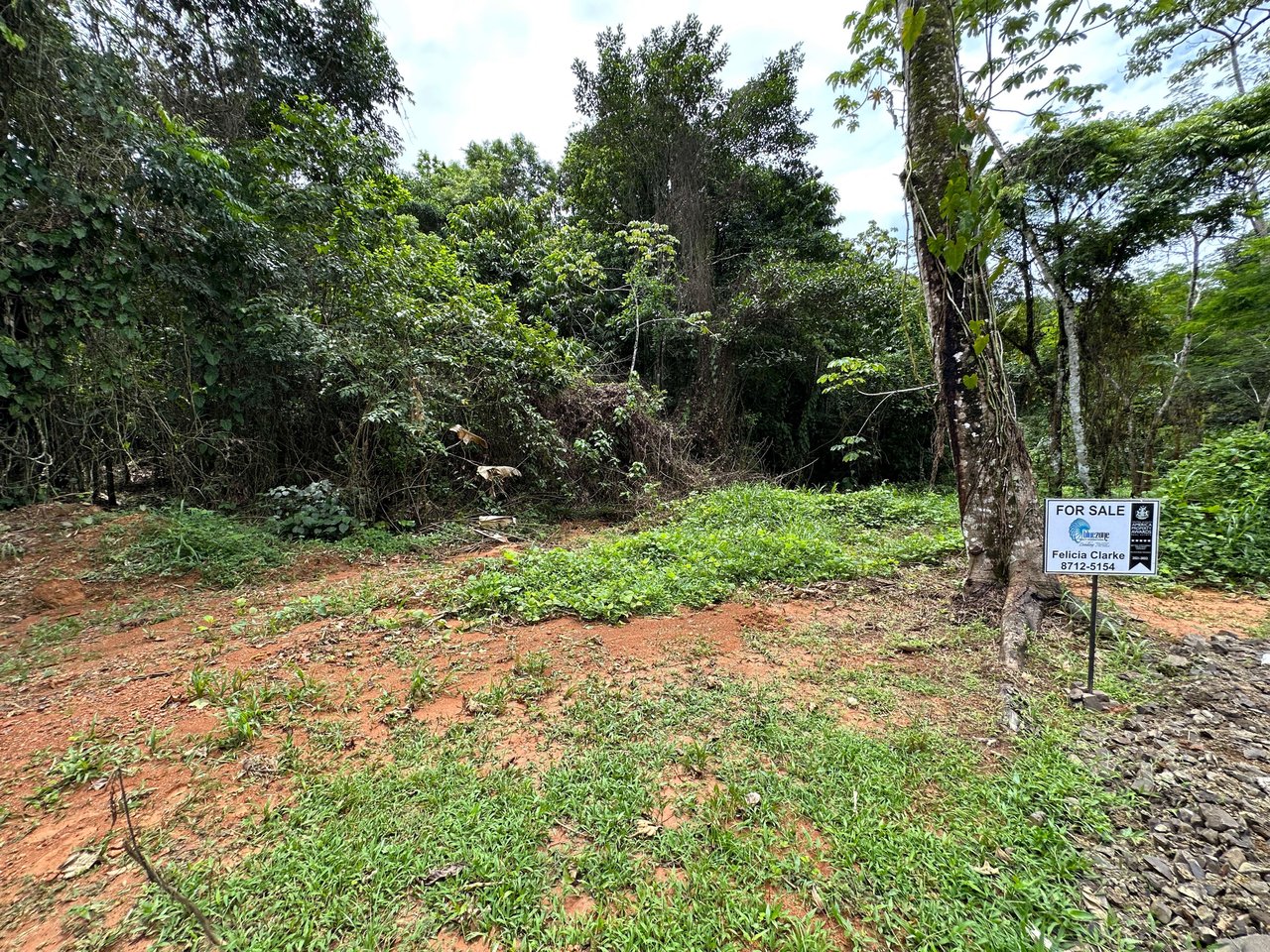 0.56 Acre Lot in the Prestigious Community of Puesta del Sol (Phase 10 - Lot #J11) Ojochal 