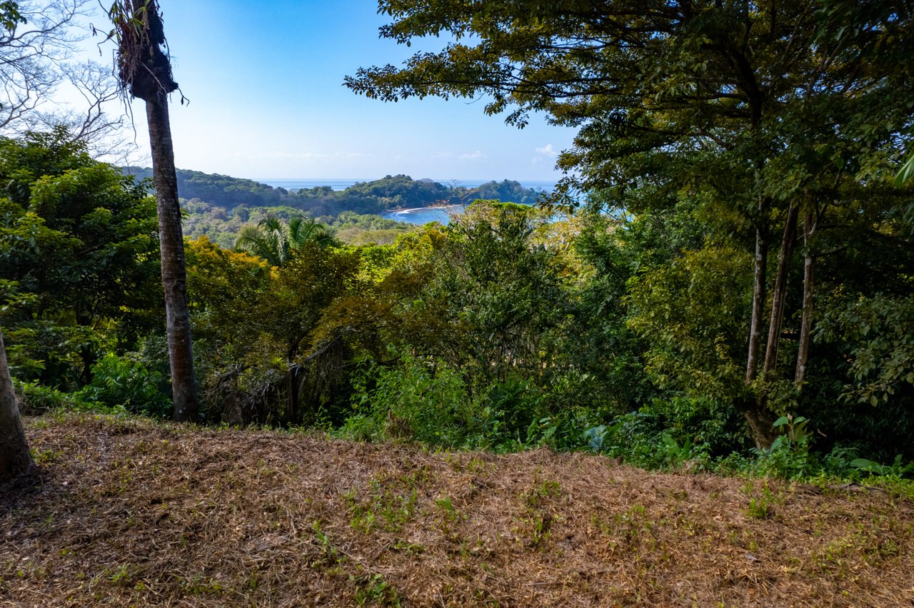 Prime Coastal Development Land, Dominical, Puntarenas