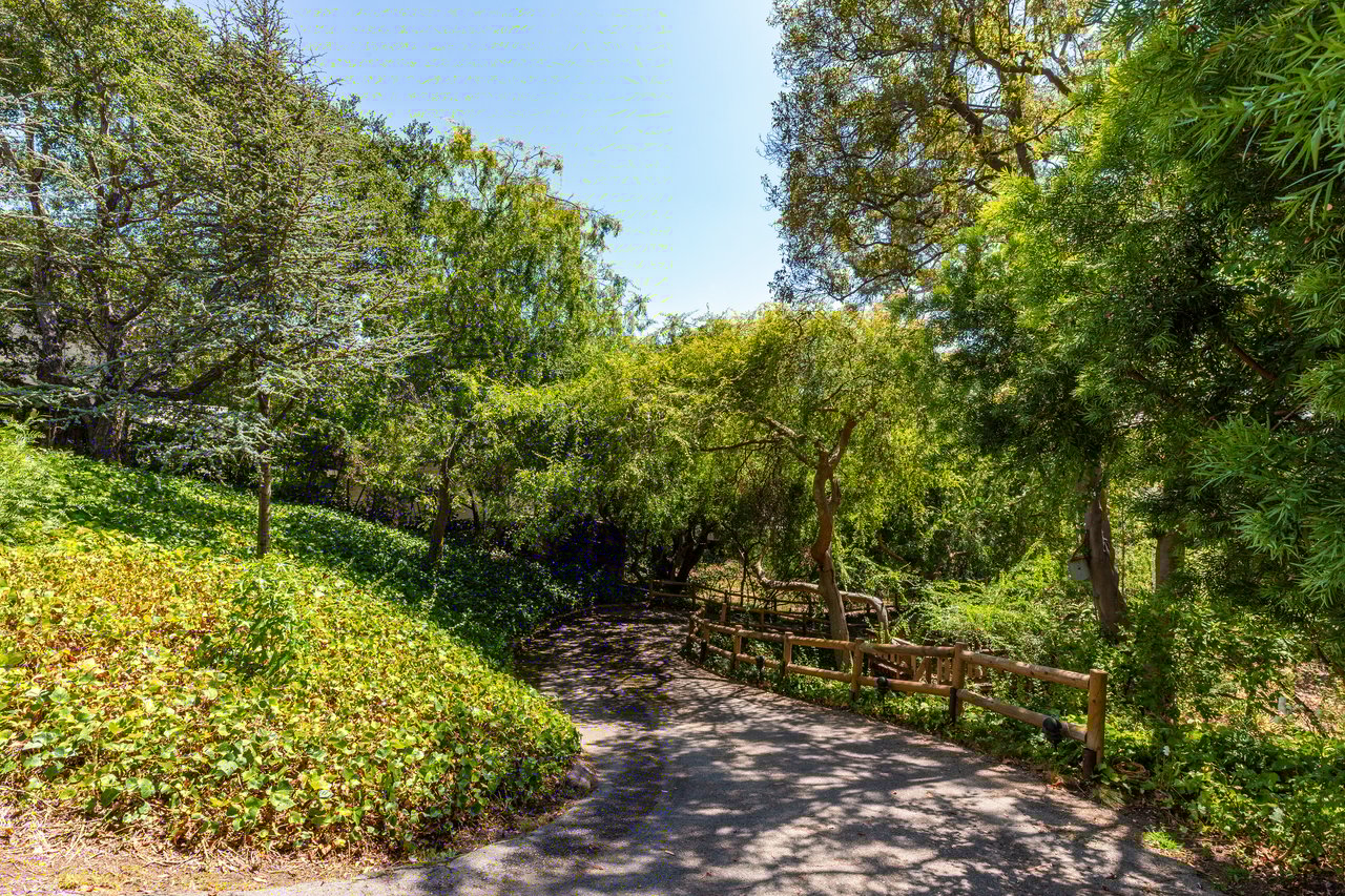 320 South Canyon View Drive