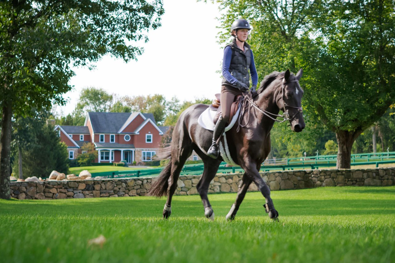 Tuckers Ridge Farm | Easton