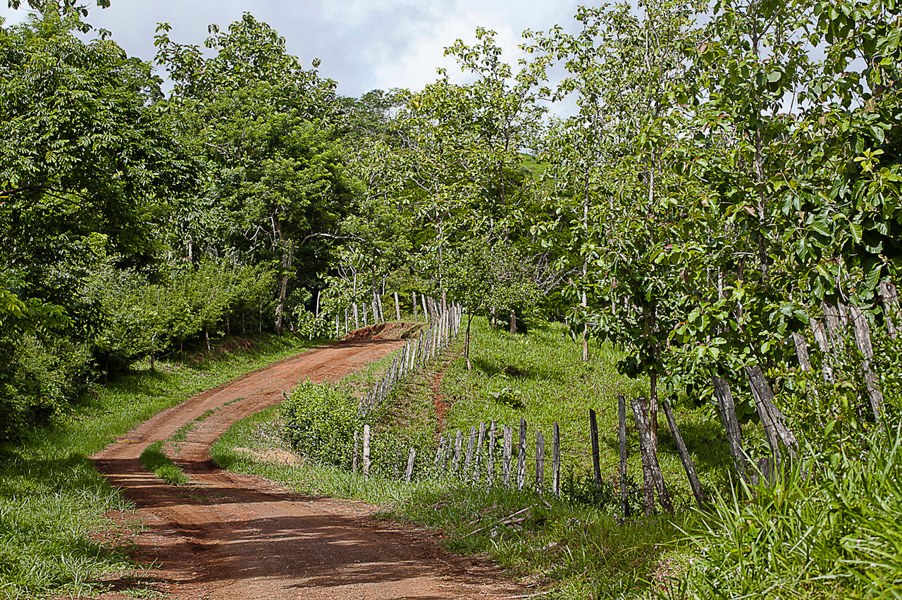Private Ocean View Development Farm, Jaco, Puntarenas