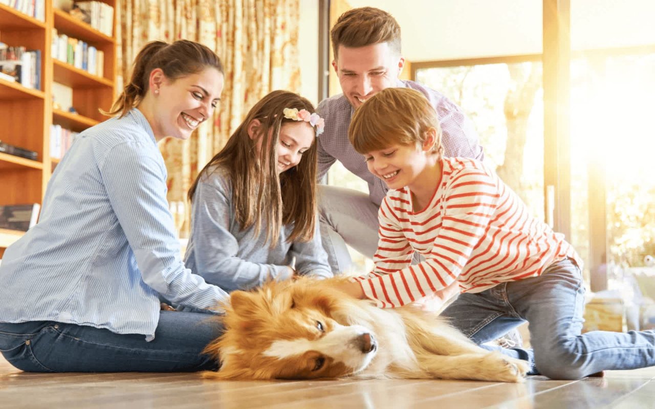 How to Pick the Right Dog for Your Family