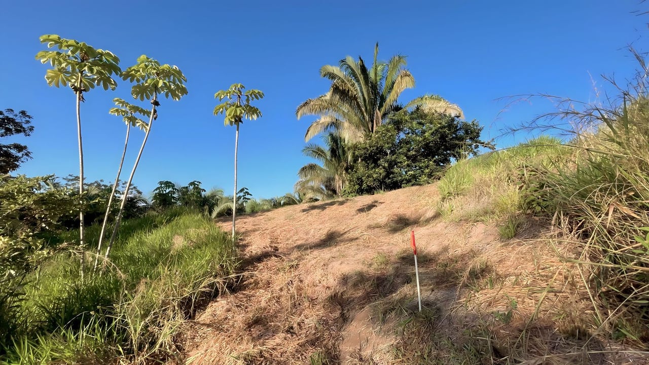  Exclusive Hermosa 1.2 Acre Lot with Panoramic Mountains and Ocean View. 