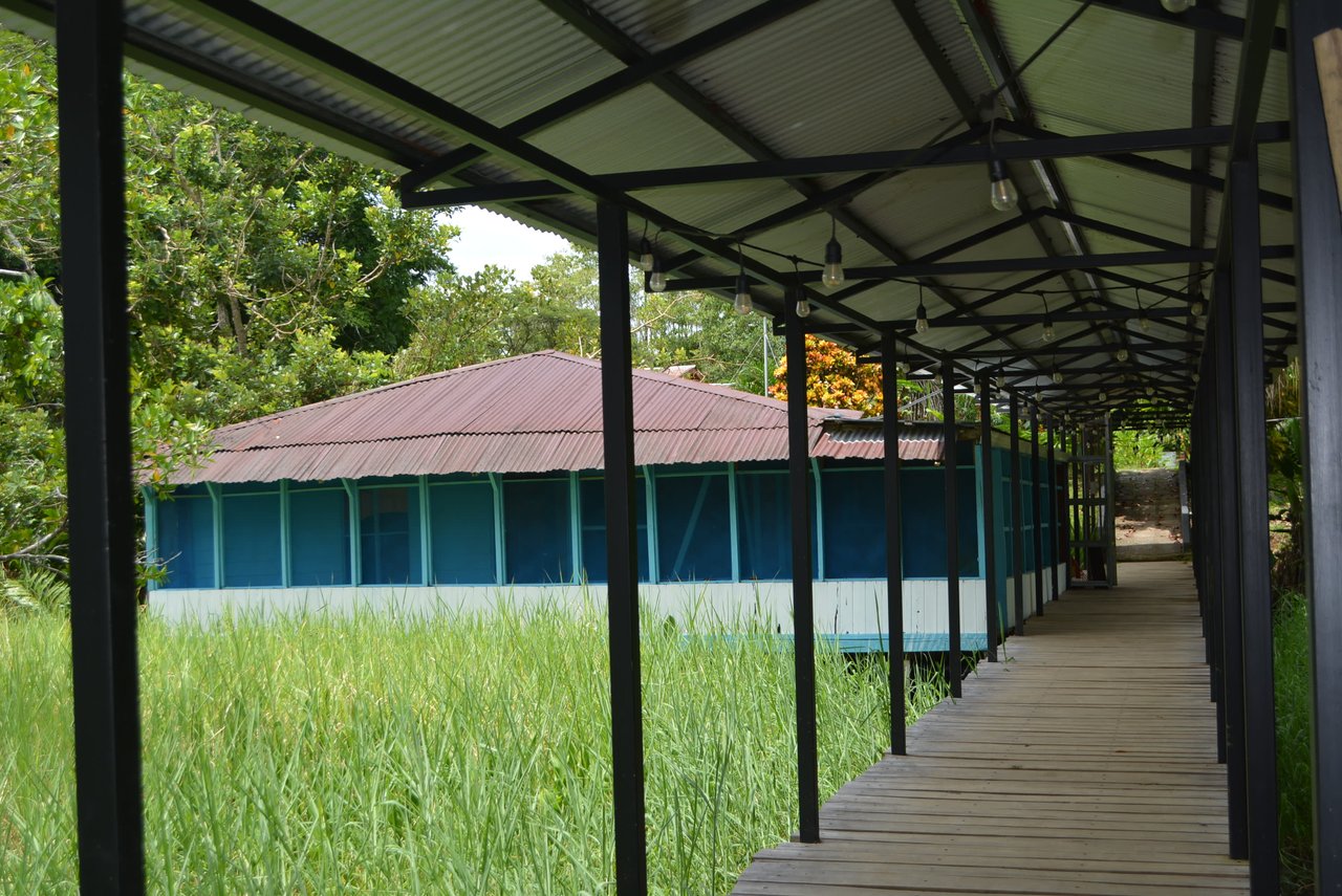 10 Acre Rio Sierpe Paradise Residential And Cabinas
