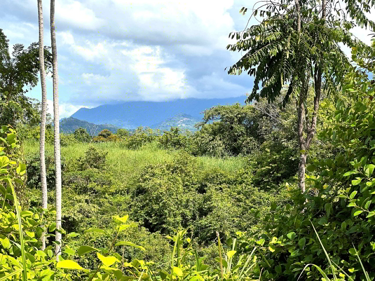 2 Acres Property with 360 Panoramic Views!